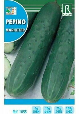 HORTALIZAS PEPINO MARKETER