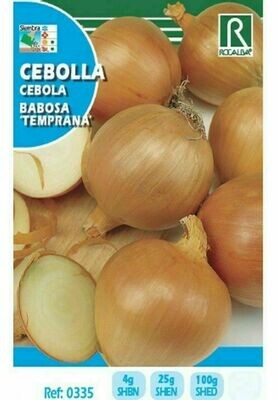 CEBOLLA BABOSA (TEMPRANA)