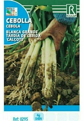 CEBOLLA BLANCA GRANDE T.LERIDA(CALÇOTS)