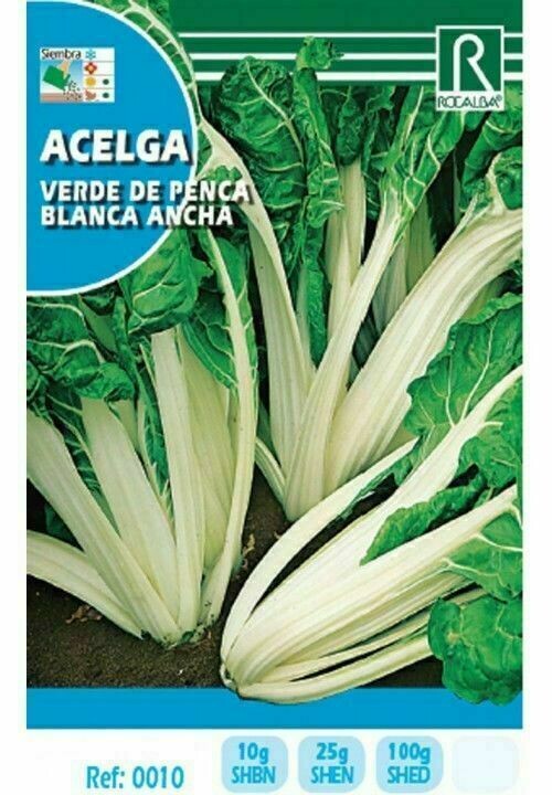 HORTALIZAS ACELGA VERDE DE PENCA BLANCA ANCHA