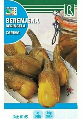 HORTALIZAS BERENJENA CARINA