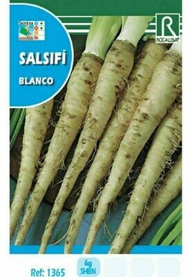 HORTALIZAS SALSIFI BLANCO