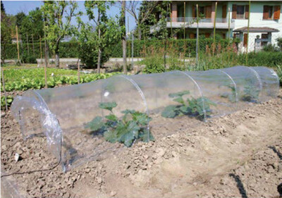 Kit Tunel Fuelle 65x45hx 300 cm