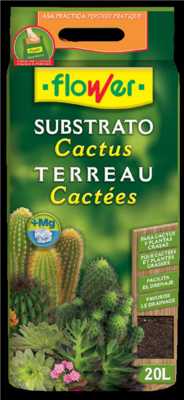 SUB CACTUS 20L