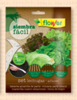 SIEMBRA FACIL SET LECHUGAS