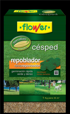 SEMILLAS CESPED REPOBLADOR 1 KG