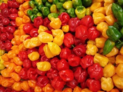 Pimientos Picantes