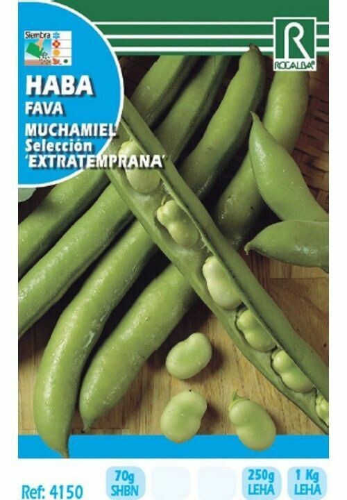 HORTALIZAS HABA MUCHAMIEL EXTRATEMPRANA 1 KG A GRANEL