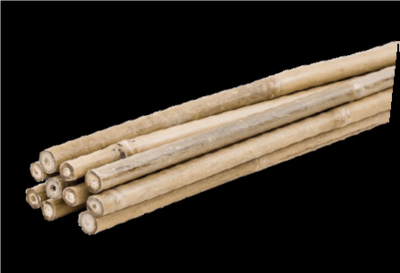 Tutor Bambú Etiquetado 240 cm - 20/22 mm 10u.