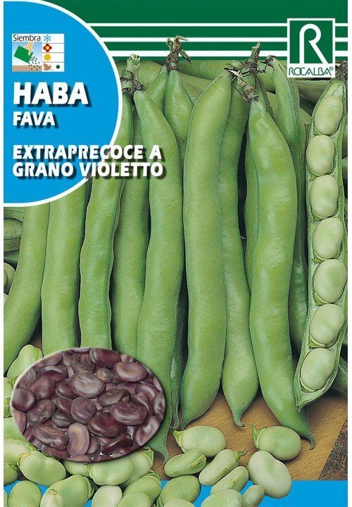 HORTALIZAS  HABA Extraprecoce a grano violetto 70 GRS A GRANEL