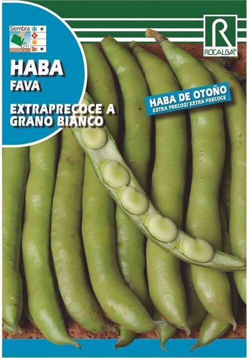 HORTALIZAS  HABA Extraprecoce a grano bianco 70 GRS A GRANEL