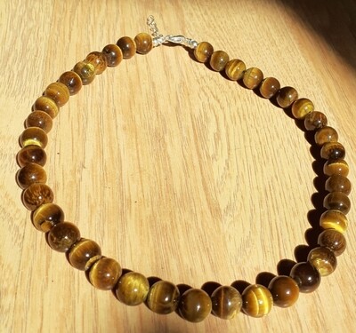 Collier Oeil de Tigre, Afrique du Sud 