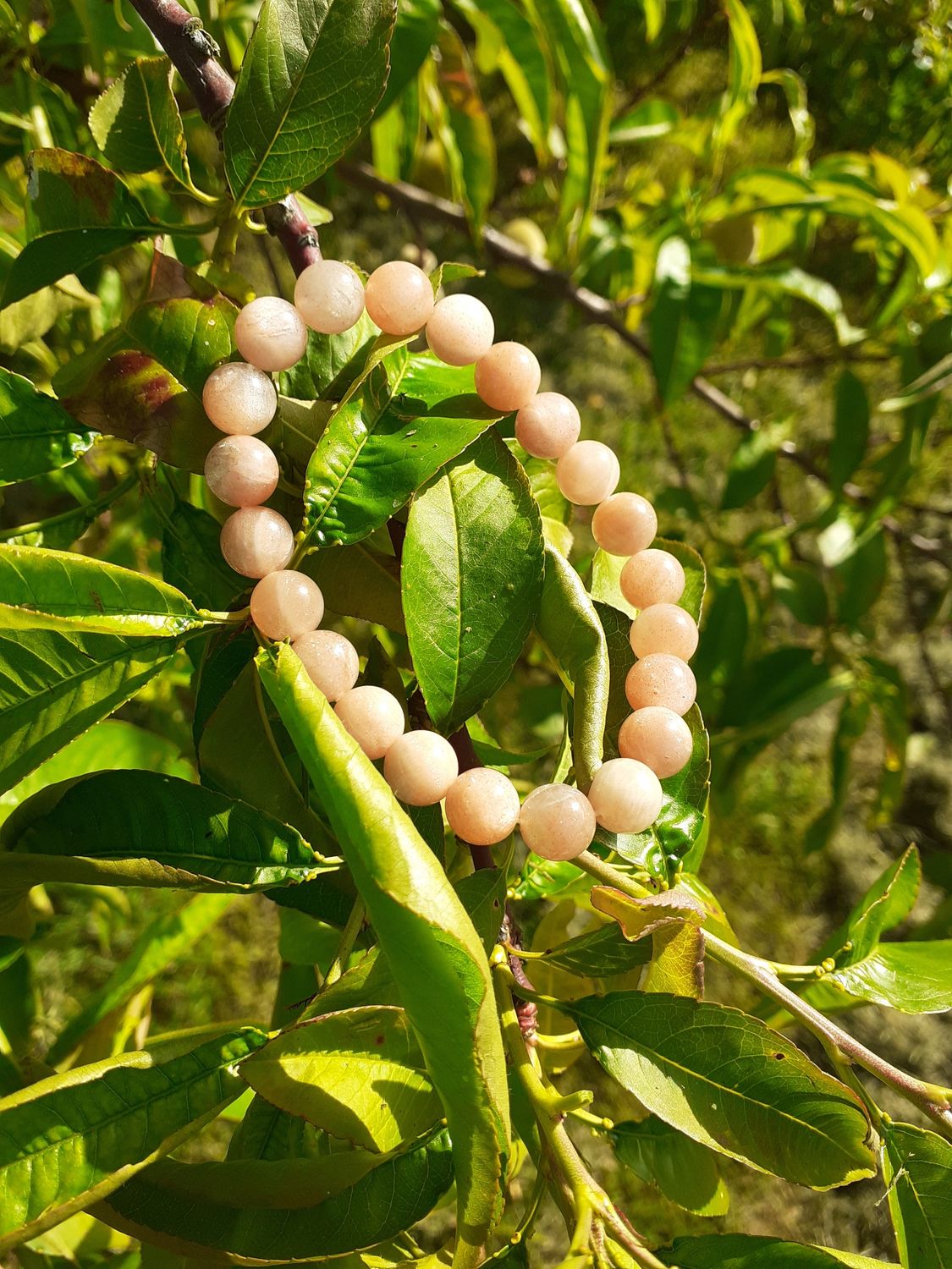 Bracelet Pierre de Soleil