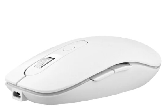 Souris rechargeable sans fil 2 en 1