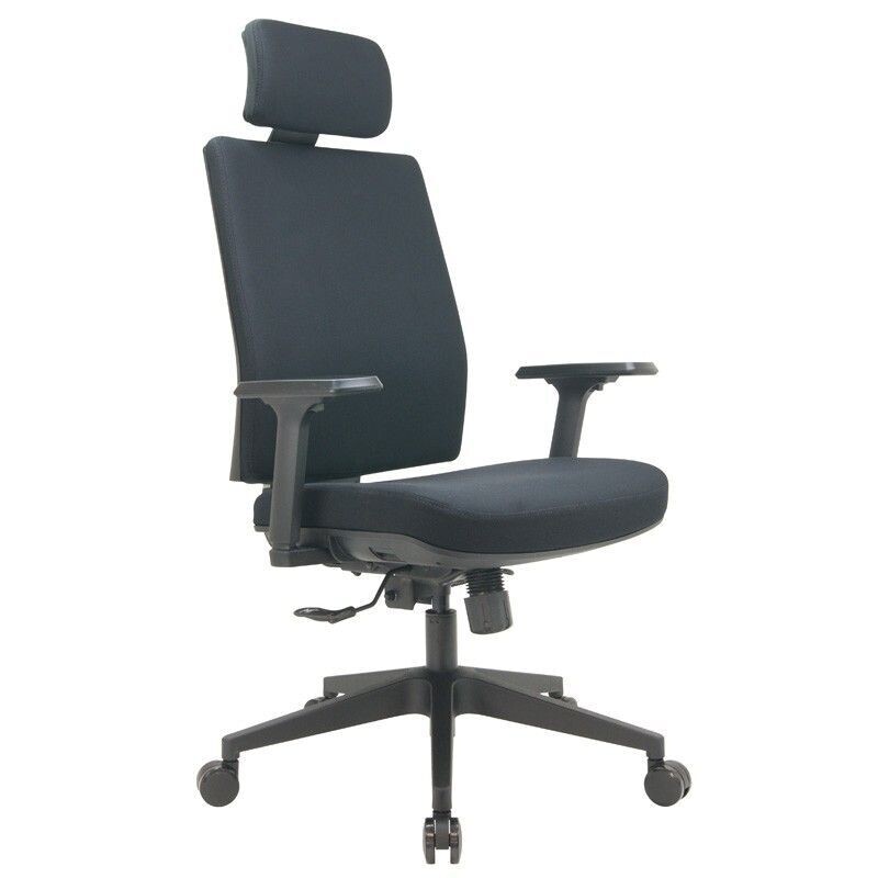 Fauteuil de bureau ''PEGASI''