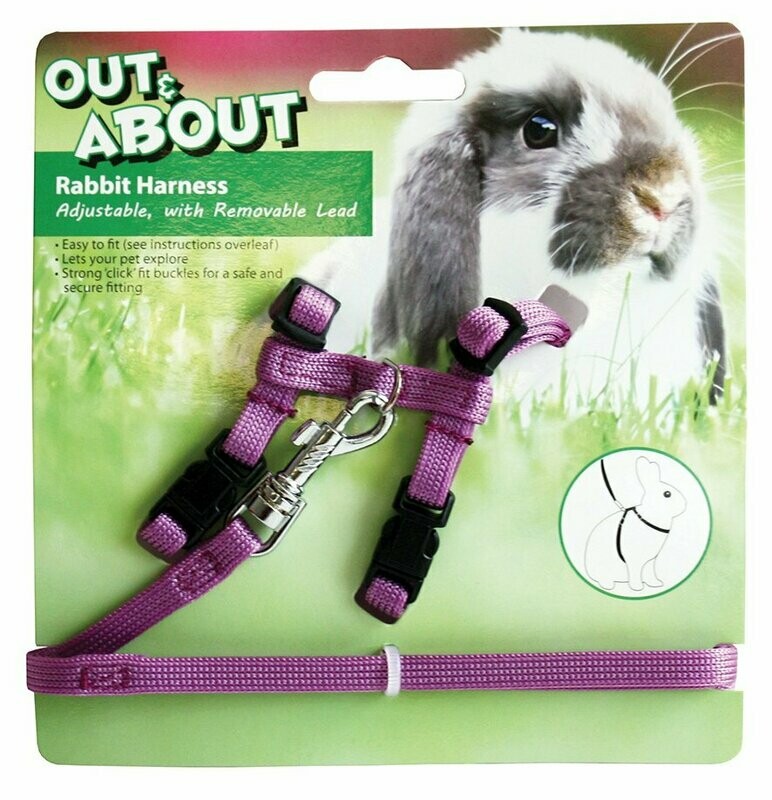 Rabbit Harness & Lead Set