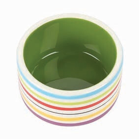 Rainbow Pet Bowl
