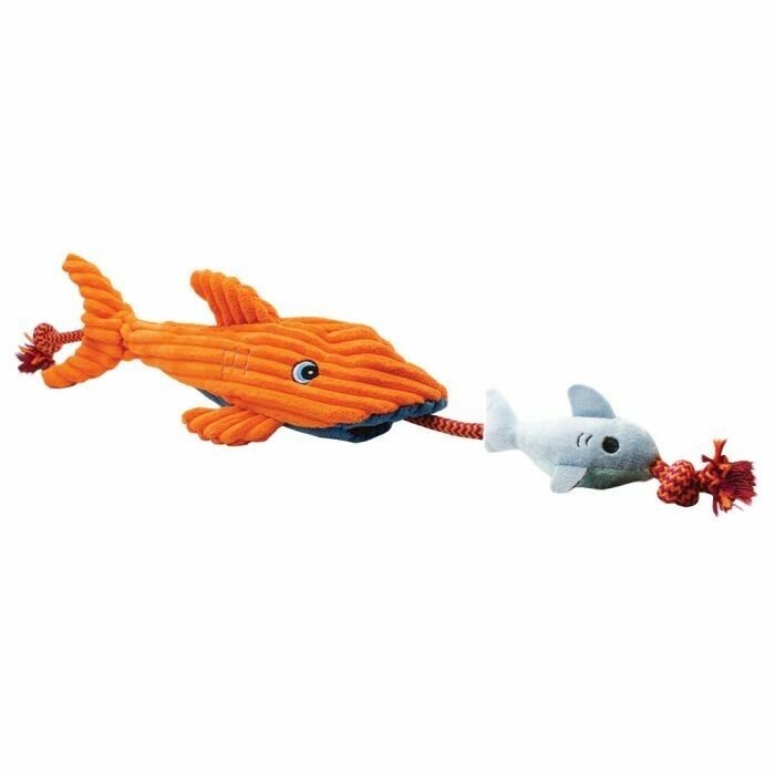 Cordy Catcher Shark