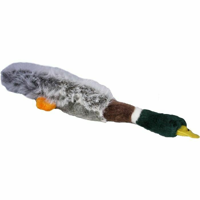 Empty Nester Mallard