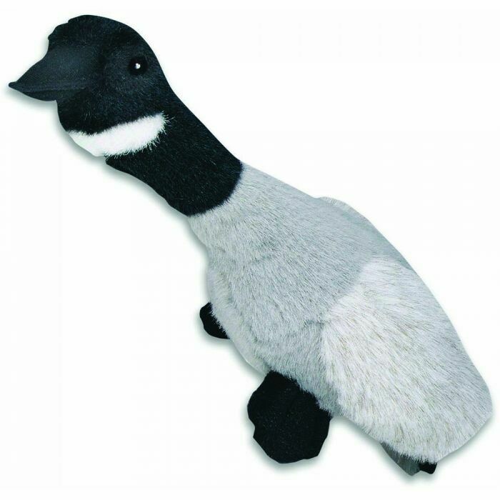 Migrator Canada Goose
