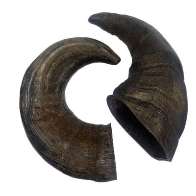 Doodles Deli Air Dried Water Buffalo Horn