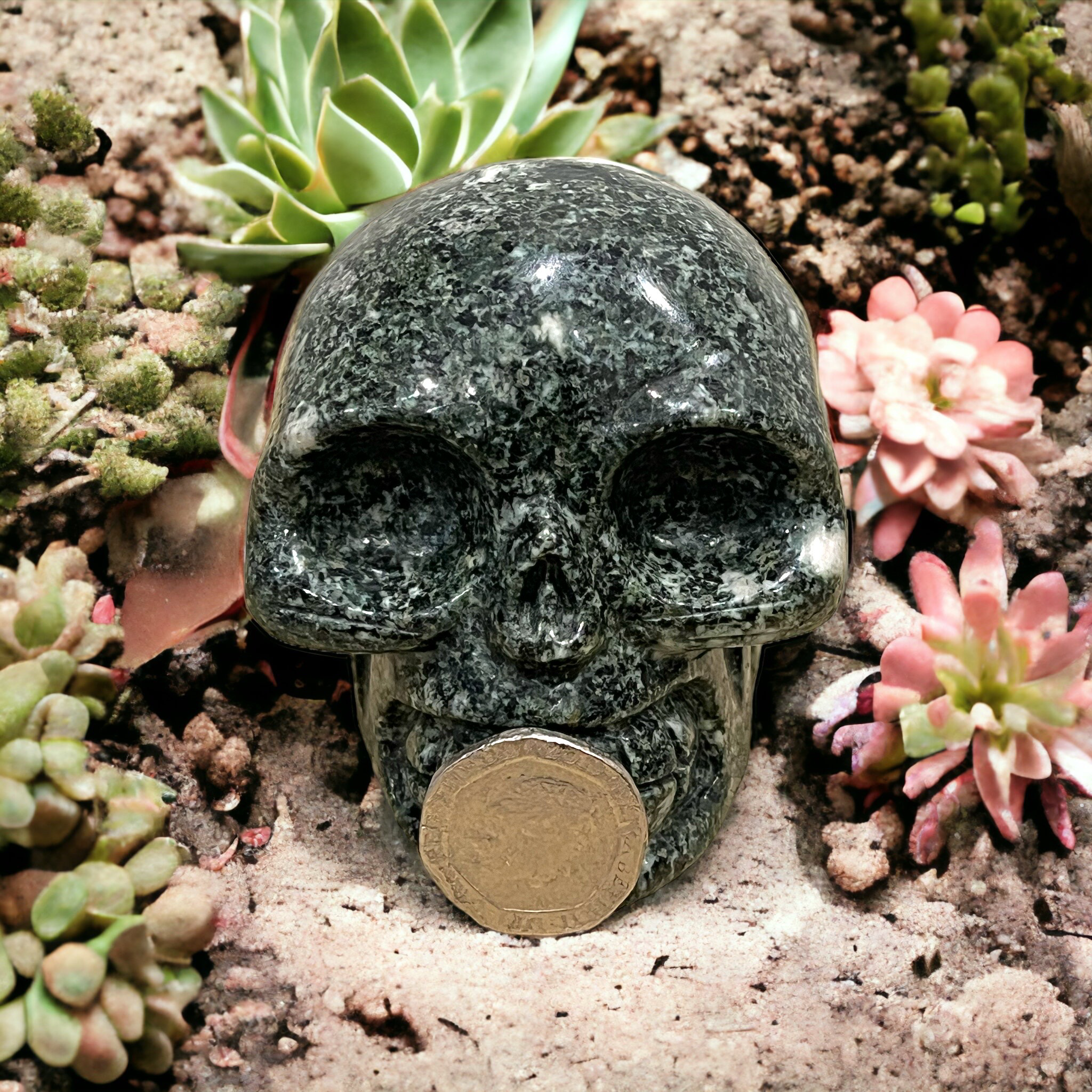 Preseli Bluestone Skull Medium