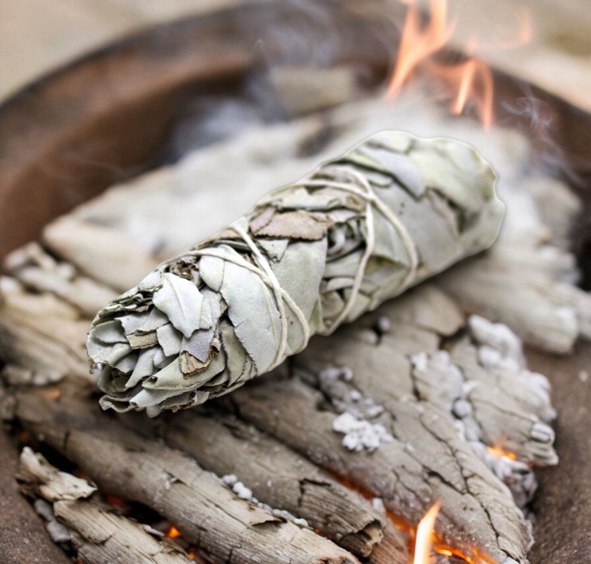 Medium Sage