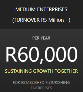 Medium Enterprises Once Off Annual Package
