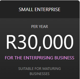 Small Enterprise Annual Package (Advance Option)