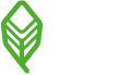 Leaf Ventilation