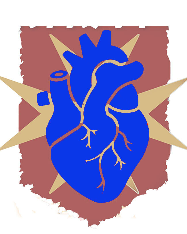 AHA Basic Life Support Course Test Out Only