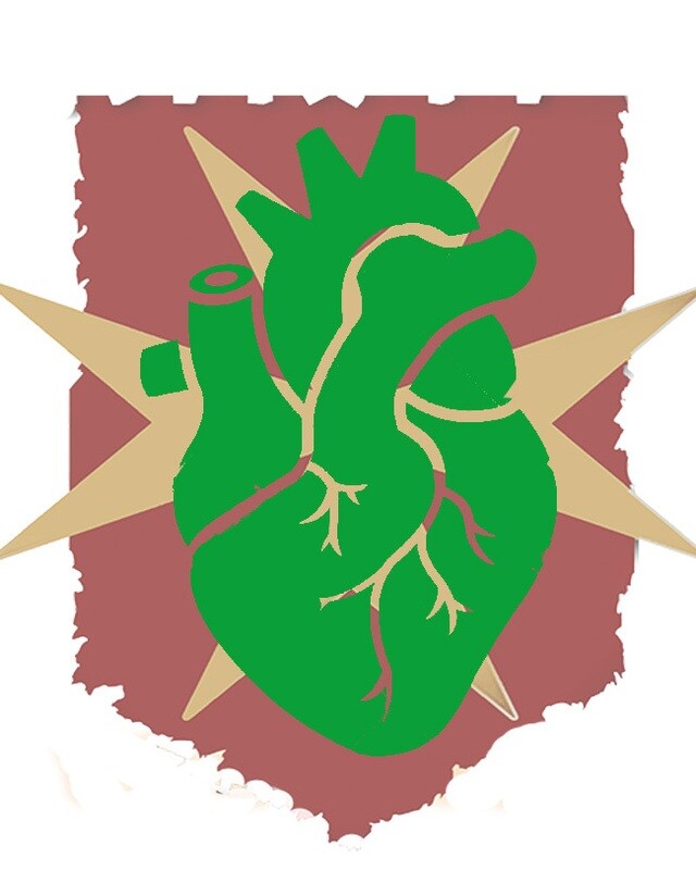 Basic Adult life Support and First Aid