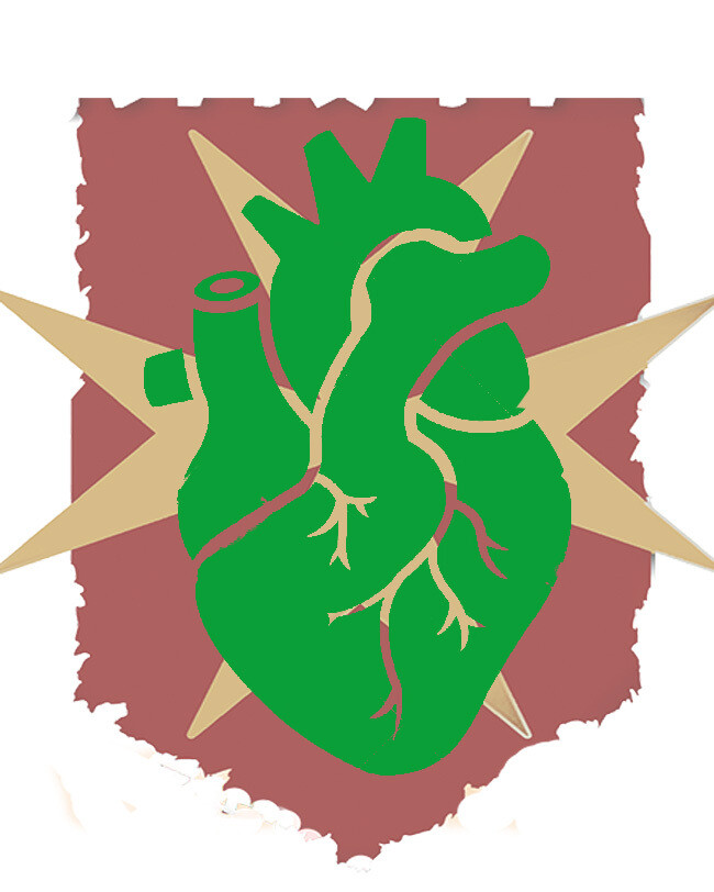 Basic Adult life Support and First Aid