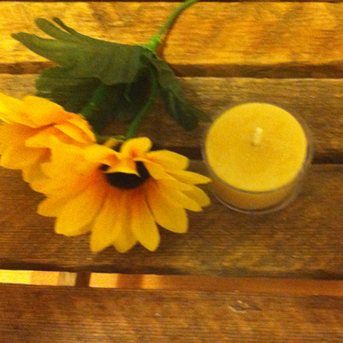 Tea Lights