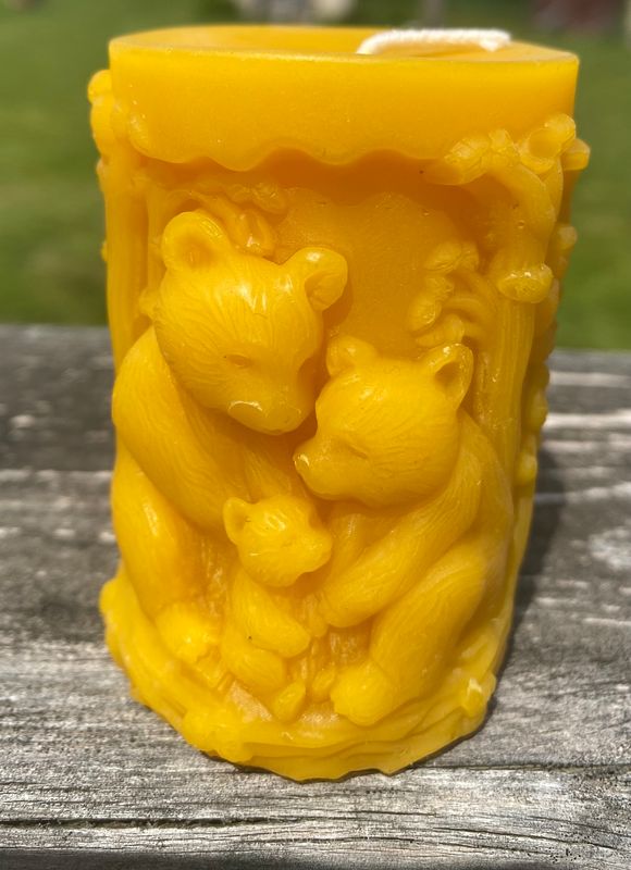 Bears