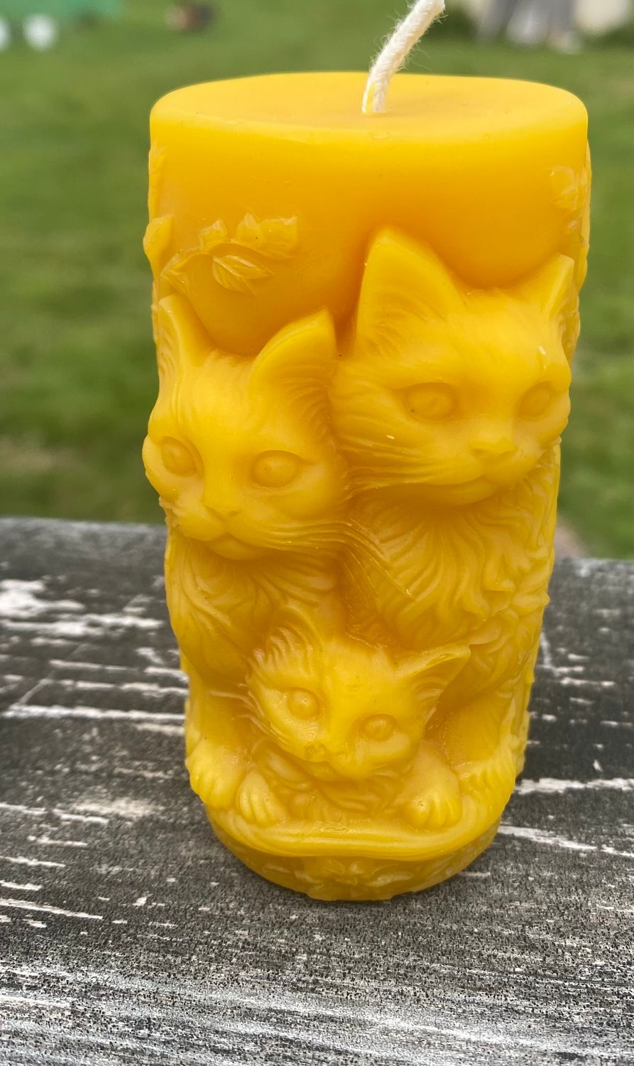 CATS