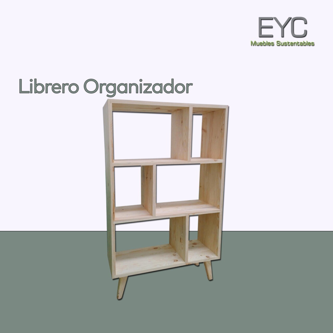 LIBRERO ORGANIZADOR