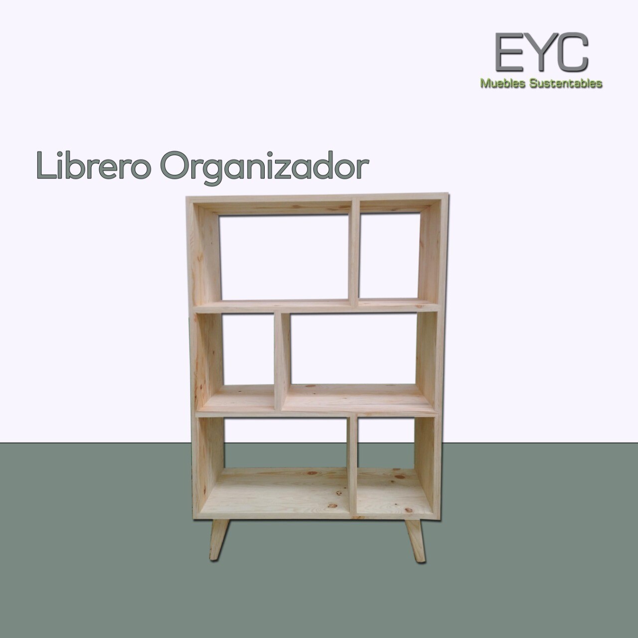 LIBRERO ORGANIZADOR