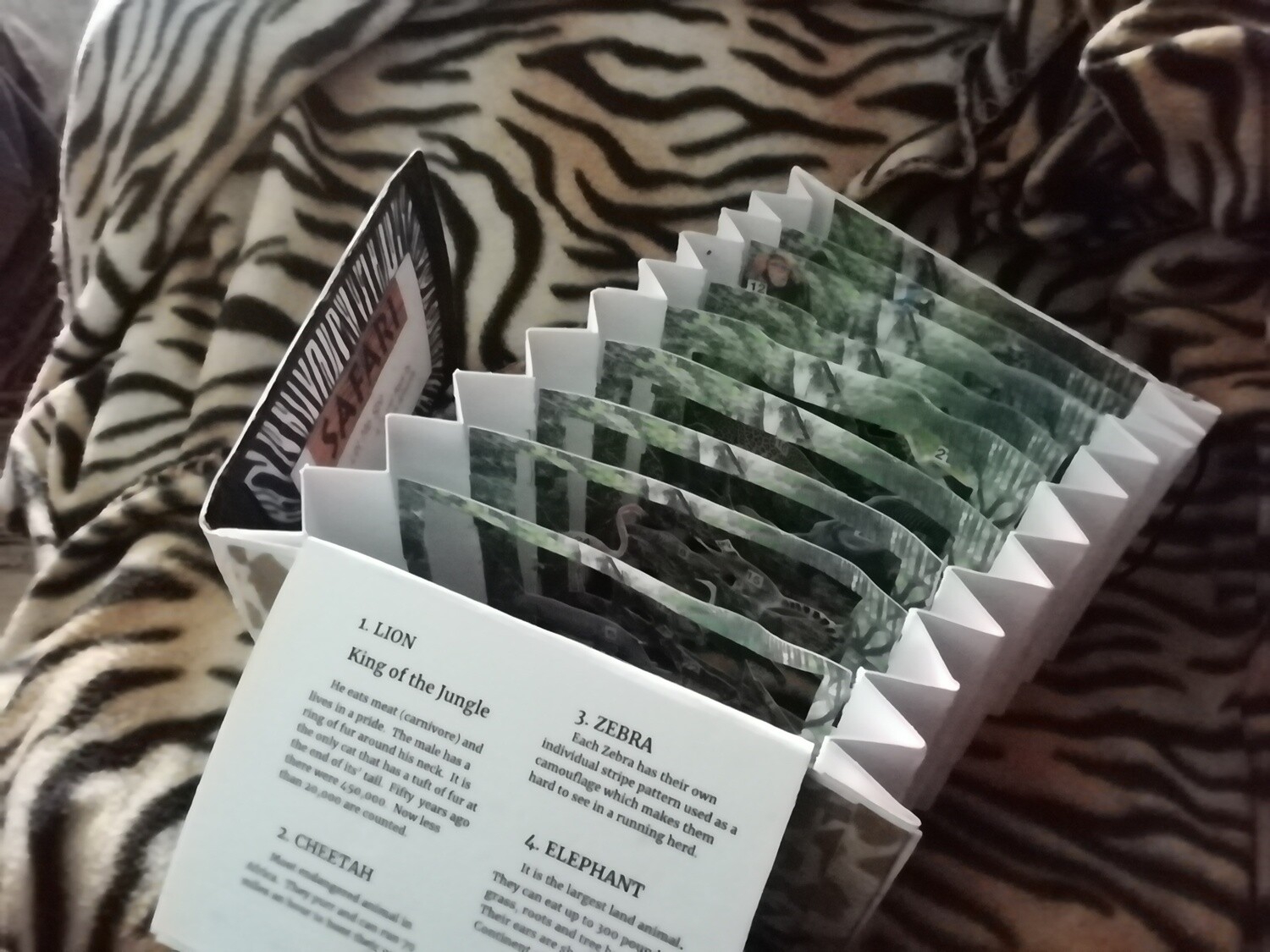 Safari Tunnel Book