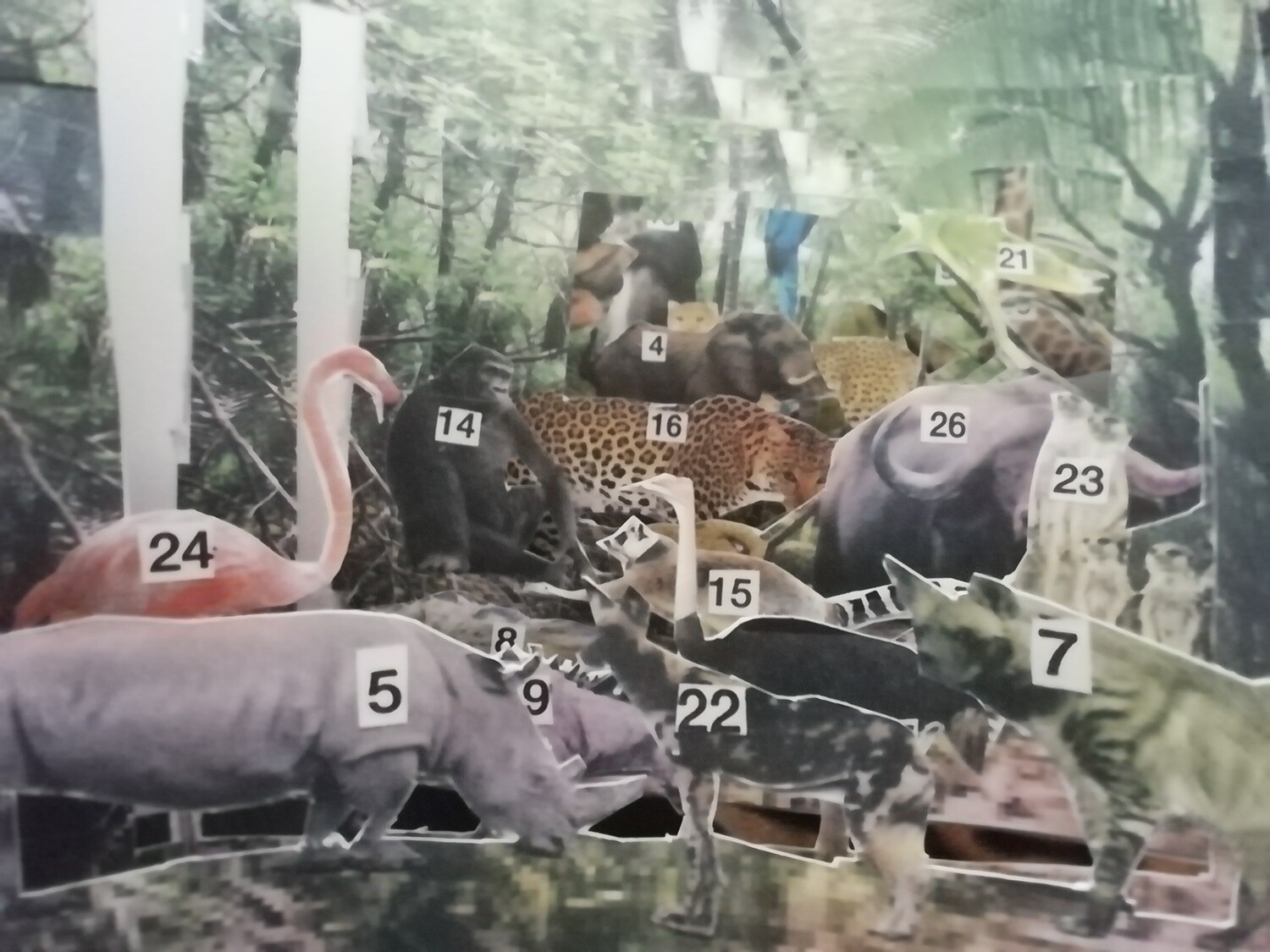 Safari Tunnel Book