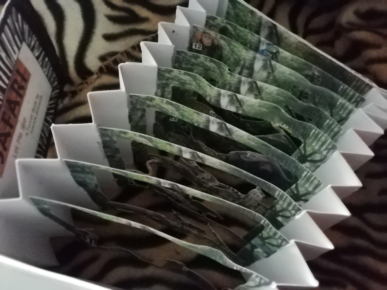 Safari Tunnel Book