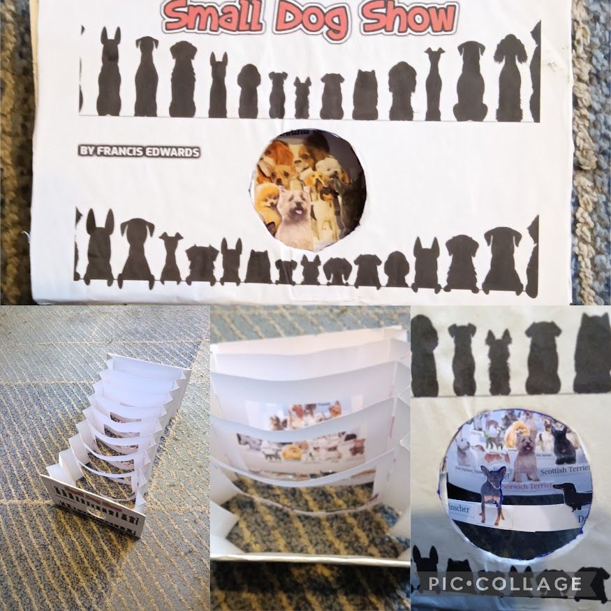 Miniature Dog Show
