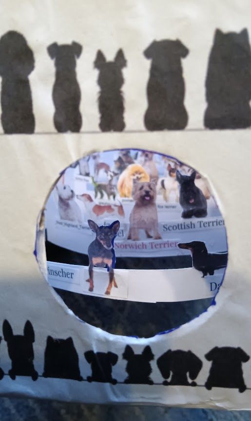 Miniature Dog Show