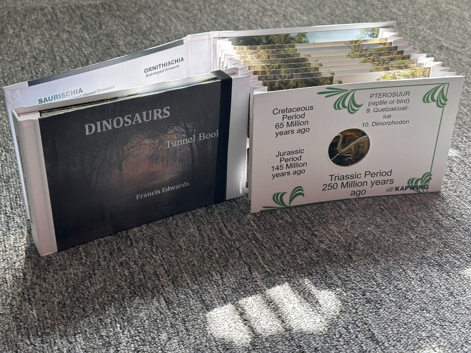 Dinosaurs Tunnel Book Special Edition
