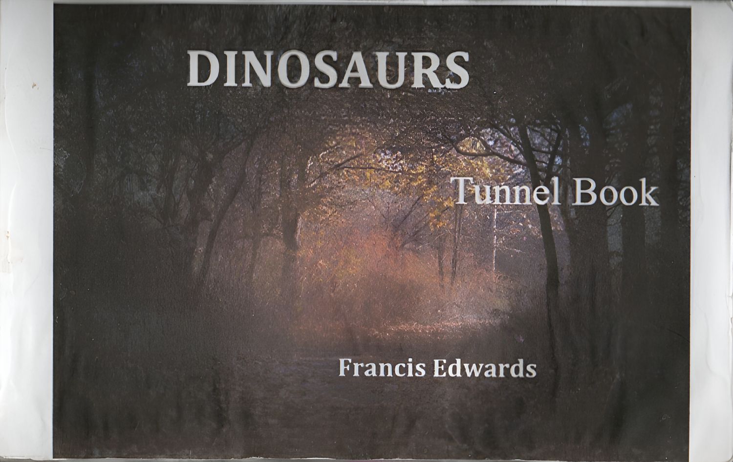 Dinosaurs Tunnel Book Special Edition