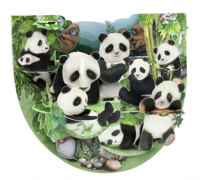 3D Card Pandas