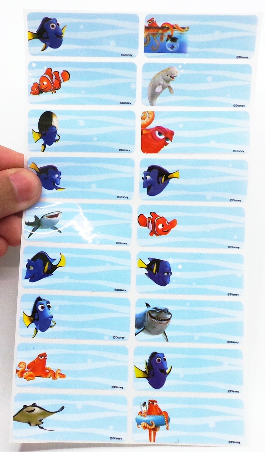 Finding Dory