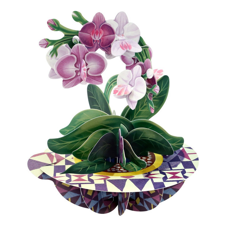 3D Card Orchid 