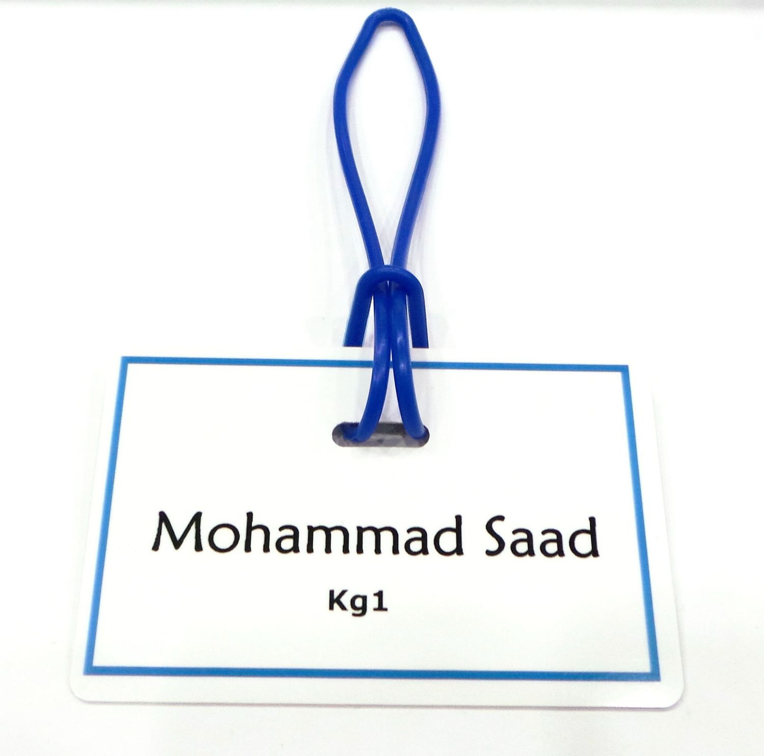 Bag Tag (Plain)