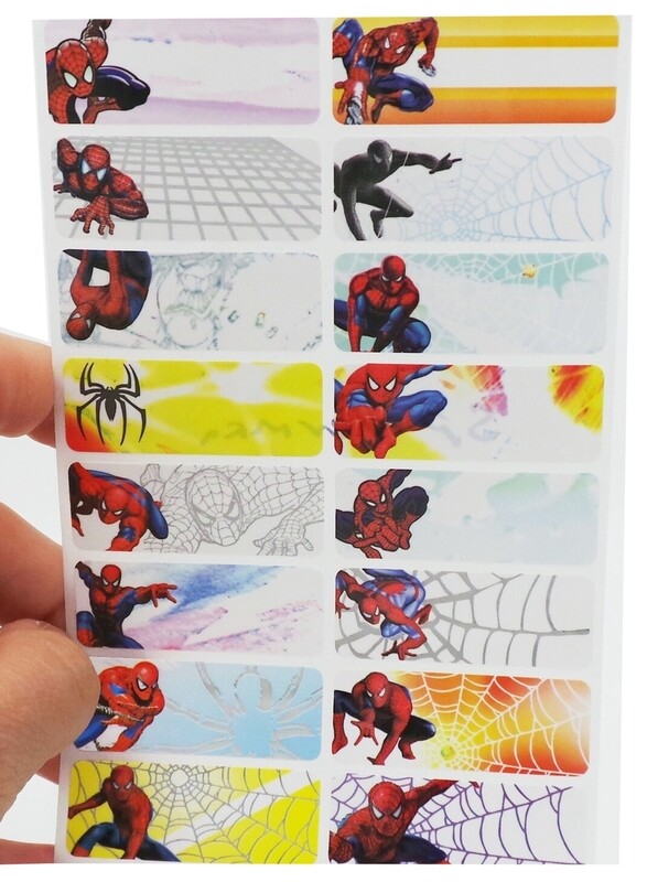 SpiderMan Or Package